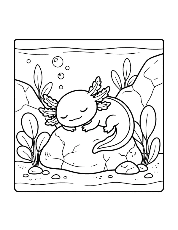Axolotl Sleeping on a Rock coloring page