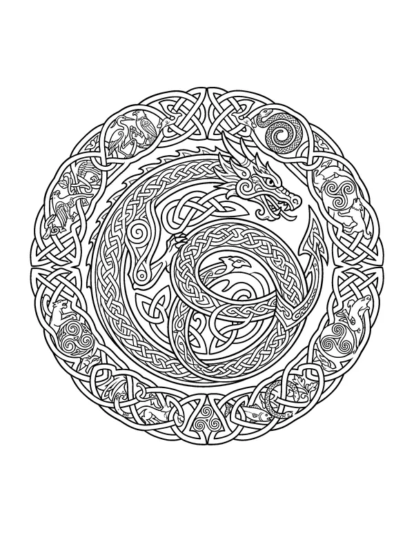 Celtic Knot Dragon for Adults coloring page